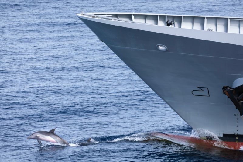 Image for the Tweet beginning: During the Australian-hosted Exercise KAKADU